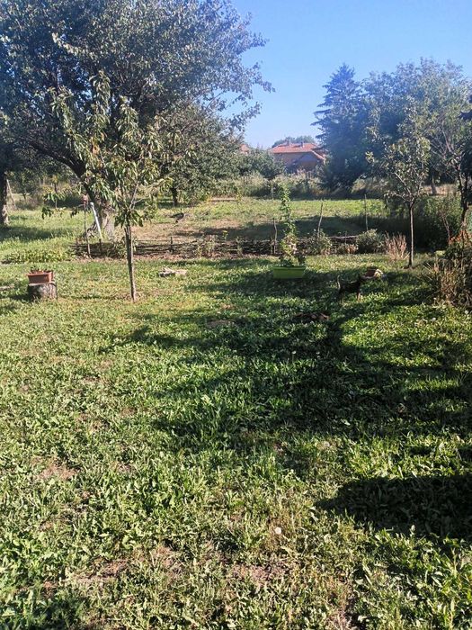 Продава се Къща в с. Просторно, Област Разград - 130 кв.м за 393 €/кв.м - Снимка #4