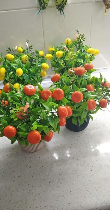 Uy, ofis, dokonlar uchun dekor gullar