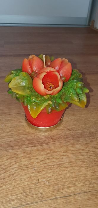 Продам алое от  500тг