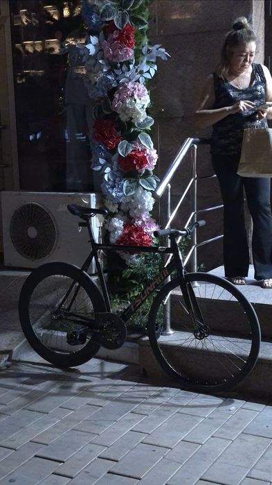 Tsunami snm 100 Fixed Gear , Фикс
