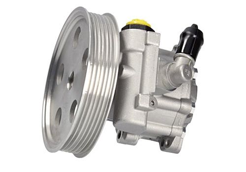 Насос ГУР, Помпы