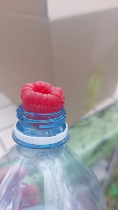 Уютная дача Со Борки