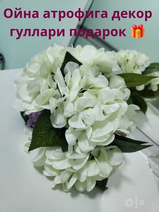Тримо Янги 650.000 Чилонзор