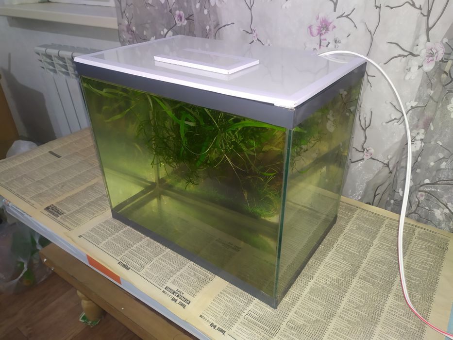 Аквариум 27л + бонусы и рыбки.