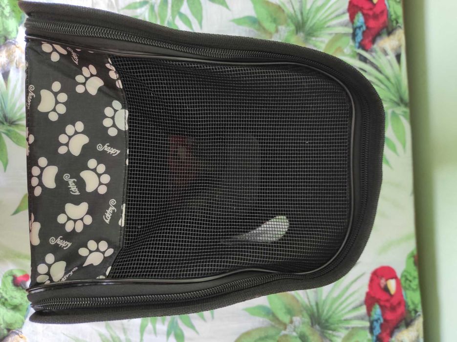 Чанти за пренасяне на малки кученца 2бр.