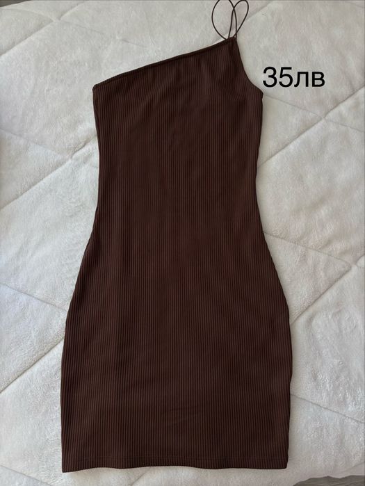 Рокли видове.