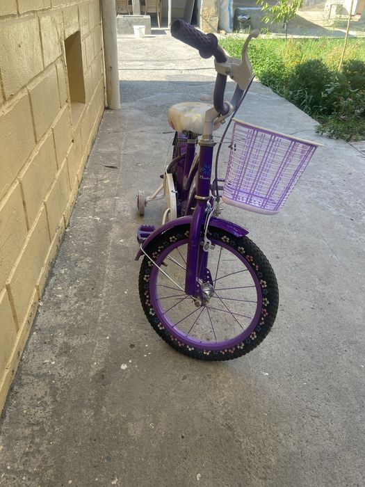 Velosiped detskiy