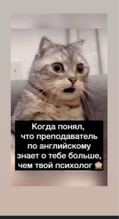 Репетитор английского в офлайн формате