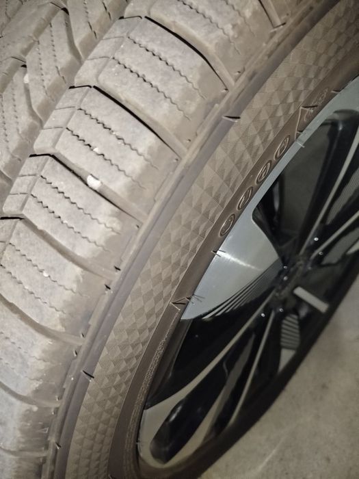 Byd chempion smart