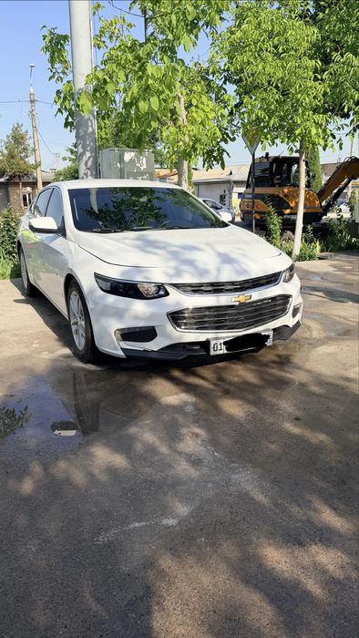 Malibu Bez Luk 2017 yil