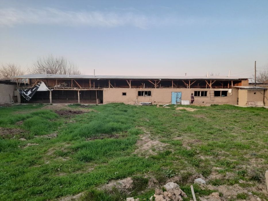 Hovli sotiladi 12 sotix