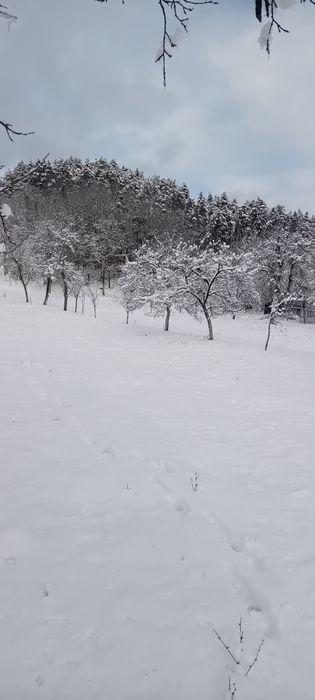 Vânzare - Teren intravilan cu livadă