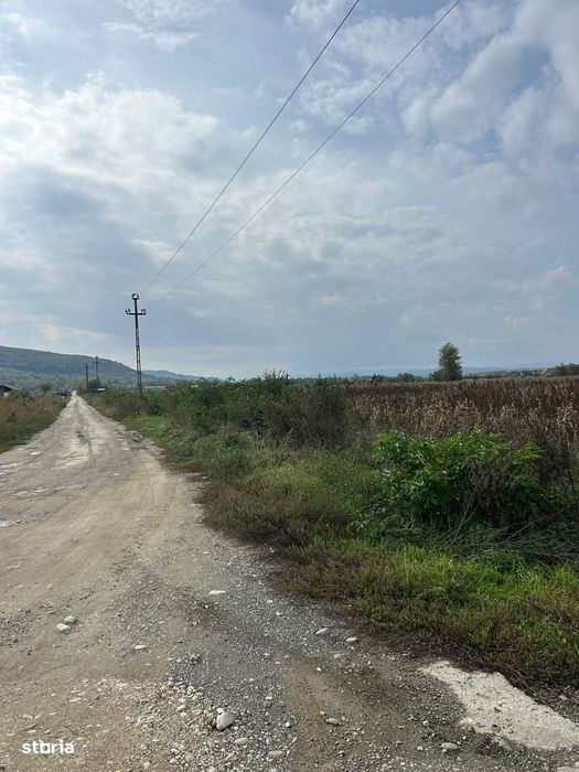 Parcele de 1000 mp pentru constructie hale