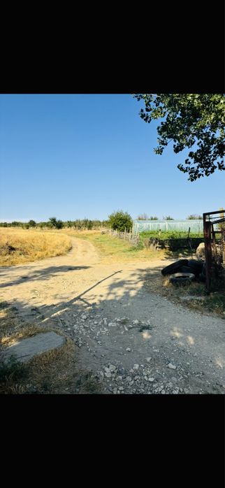 Vand Afacere Ferma zona rasova constanta plantatie bio 107 ha