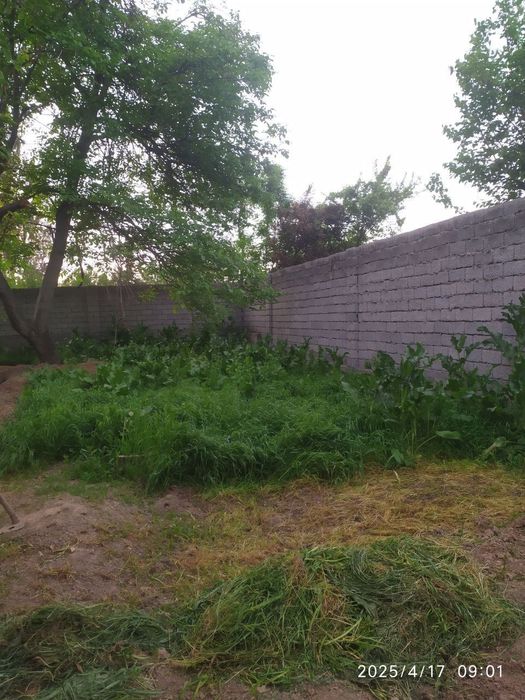 Ховли уй сотилади, нархи: 40минг, нархи келишилади, участкали уй: 2,5