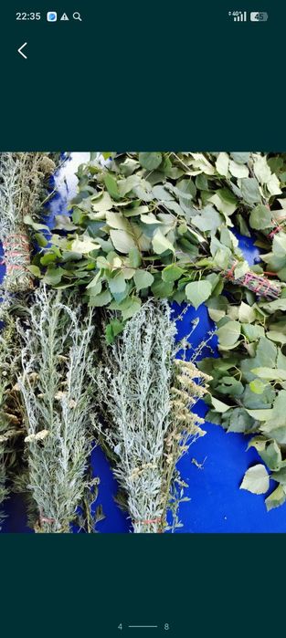 Веники в баню оптом