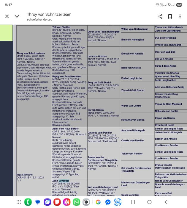 Ciobanesc german Femela