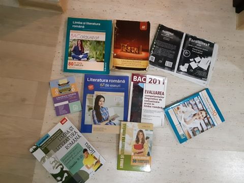 Meditații Limba Română (Evaluare și Bac)