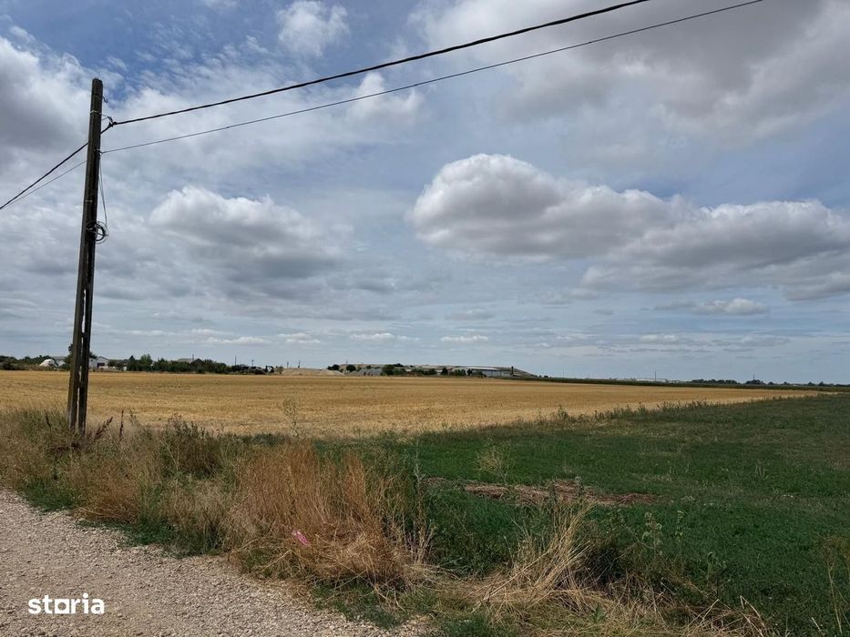 Teren Extravilan Episcopia