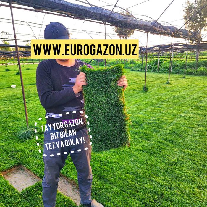 Газон таййор доставка установка