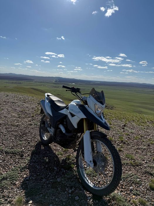 racer ranger 250