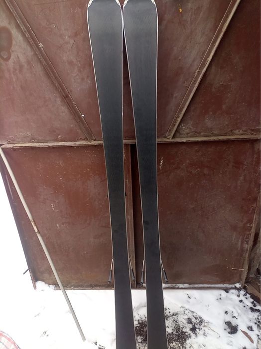 Schiuri HEAD V-Shape AR