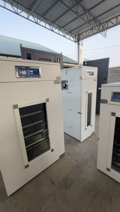 Inkubator xizmati jo'ja joja tuxum