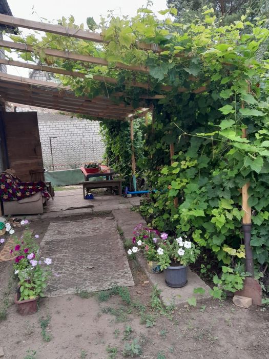 Продам дачу в обществе Парус