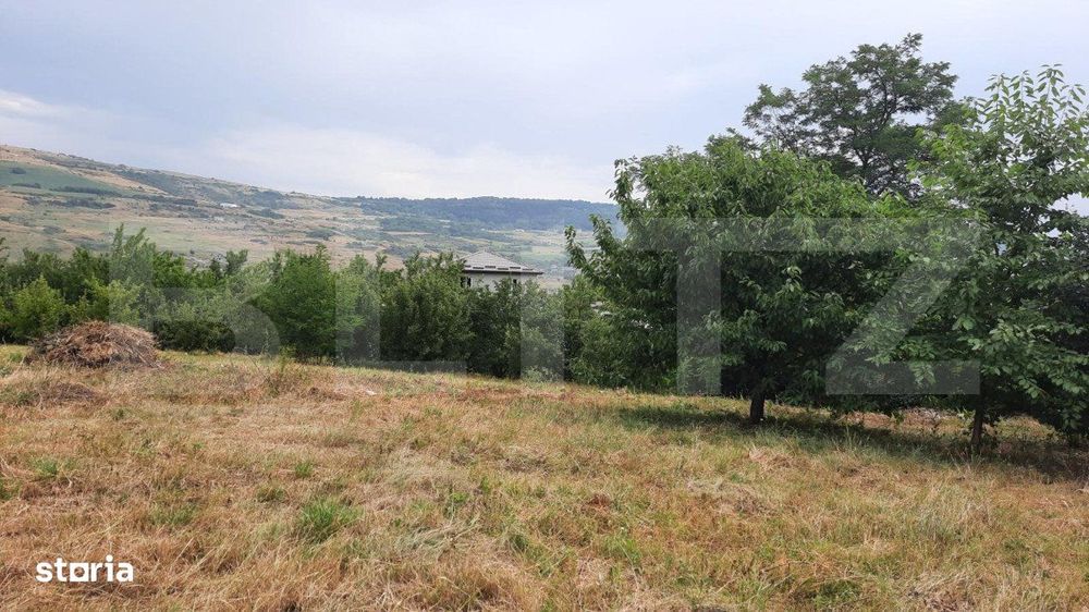 Teren intravilan construibil 2000 mp, Valea Chintaului, curti construc