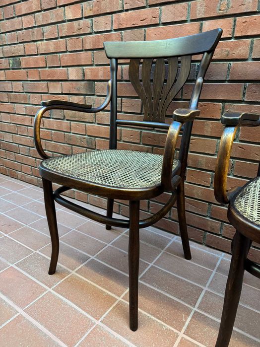 Столове с подлакътници Mundus, Vienna Secesion 1910'