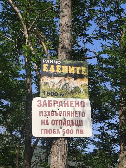 Продава се Парцел в с. Енина, Област Стара Загора - 691 кв.м за 8 €/кв.м - Снимка #8