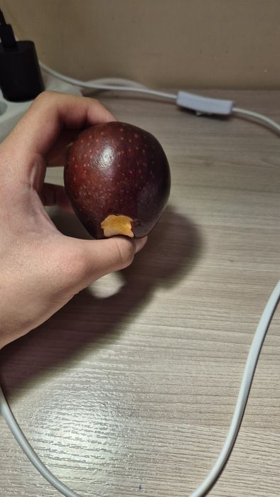 огрызок яблока (погрызан)
