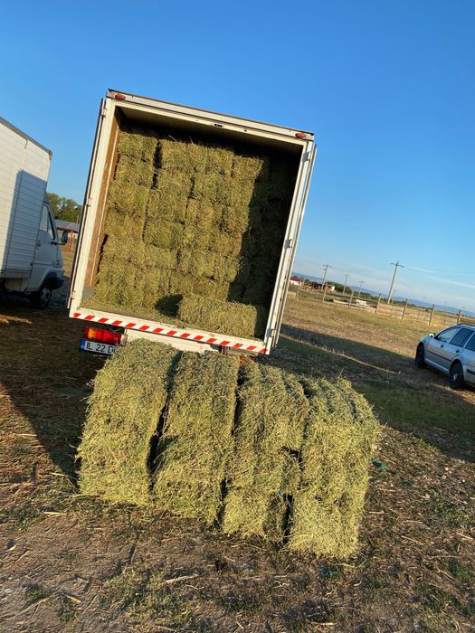 Baloti de lucerna coasele 1-2-3