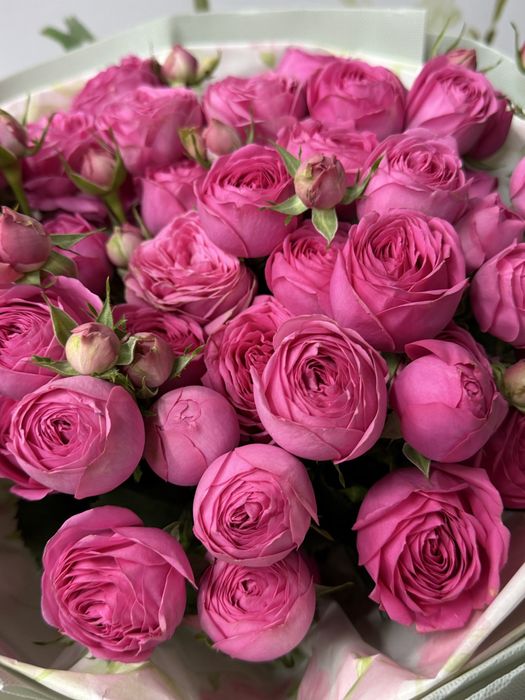 Продам букет цветов