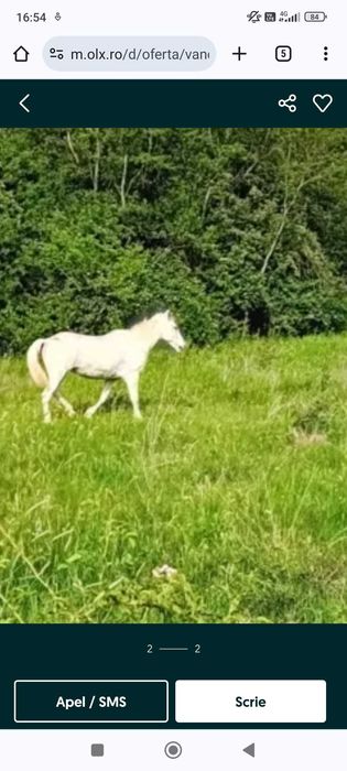 Vând iApa culoare alba
