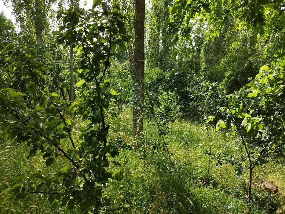 Дом-дача в горах 23 сот {Нанай]