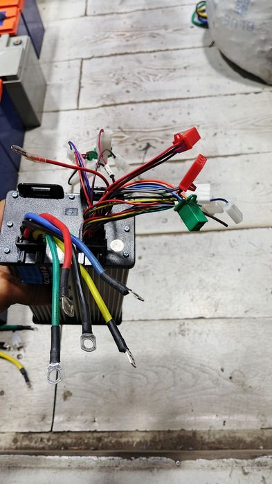 Muravey skutrlaga miya mator dvijokla boor