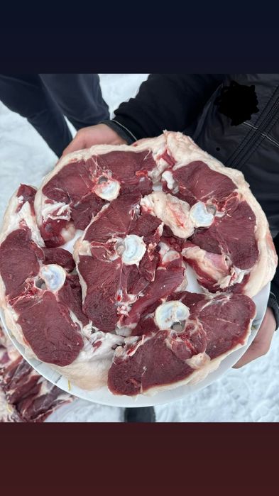 Qassab xizmati Toshkent boylab