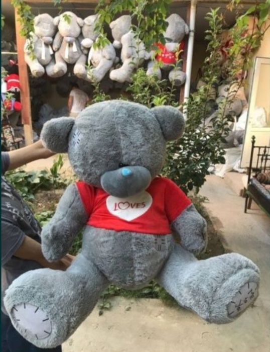 Optim;Teddi magazin,teddy original (Xasanboyda) 30sm 3m