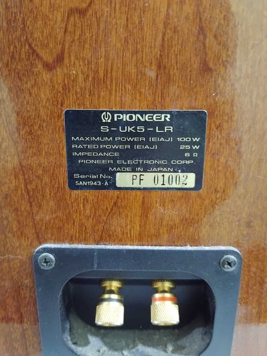 Boxe Pioneer 2x100w
