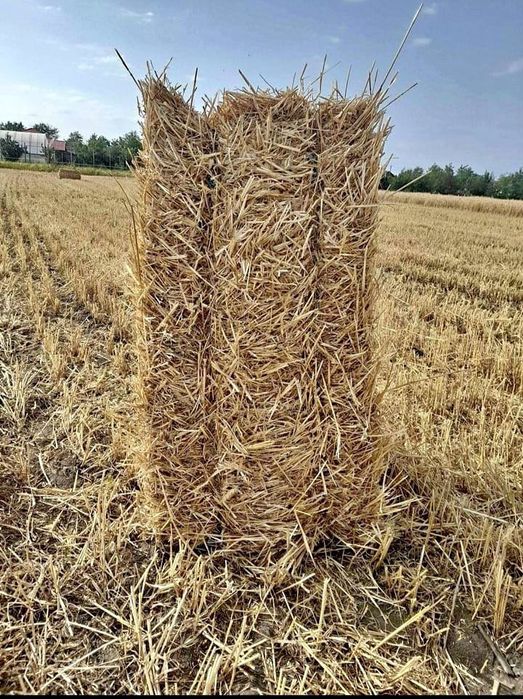 Baloți lucerna și paie