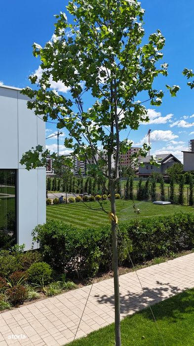 2 camere | Parc 6.000 mp | AC inclus | West Gate
