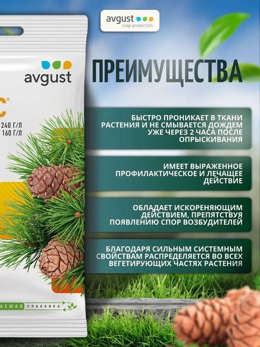 Ракурс (от болезней хвойников), лекарство для хвойных растений