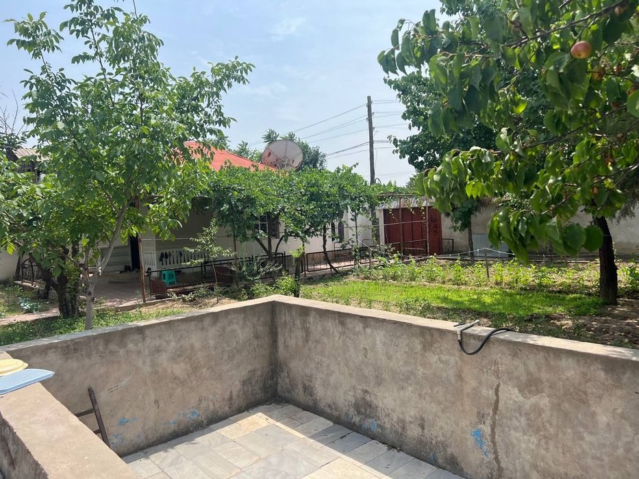 Uy Tuzel dacha Yangi O'zbekistonga yetmasdan