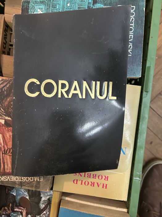 Anticariat si viniluri