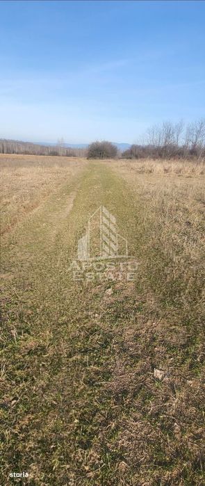 TEREN AGRICOL 1,524 HA, LA DOAR 10.000€ Comision Zero %