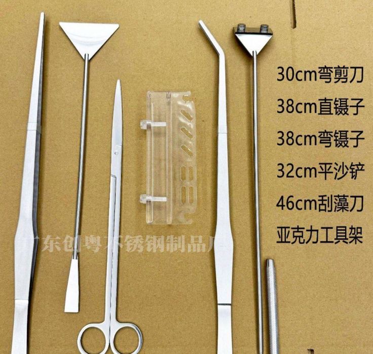 Сотилади Аква Растения Набор