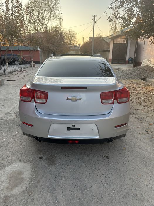 Малибу 1 позеция 2 луюки бор