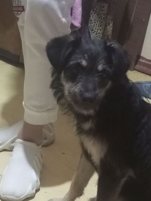 Бесплатно одаётся