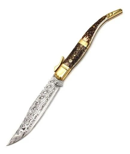 Bricheag muela curro